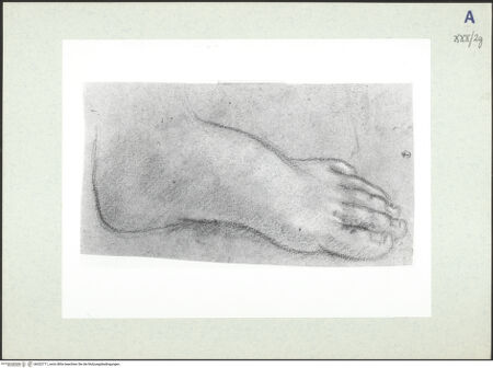 Vorderseite von bh322711_recto