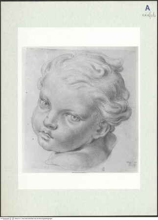 Vorderseite von bh322721_recto