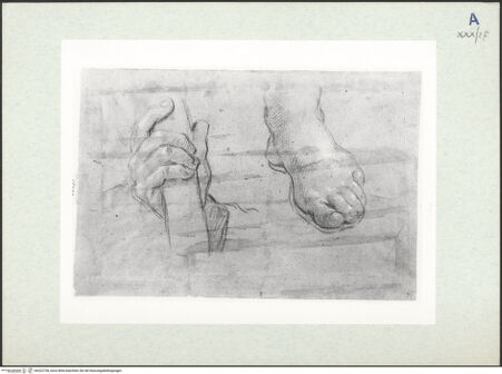 Vorderseite von bh322738_recto