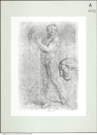 Vorderseite von bh322750_recto