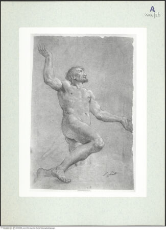 Vorderseite von bh322885_recto