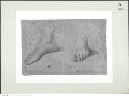 Vorderseite von bh322917_recto