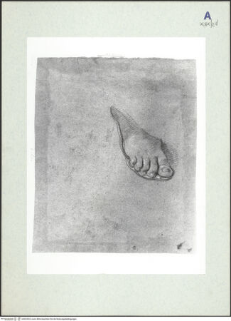 Vorderseite von bh322923_recto