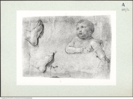 Vorderseite von bh322926_recto