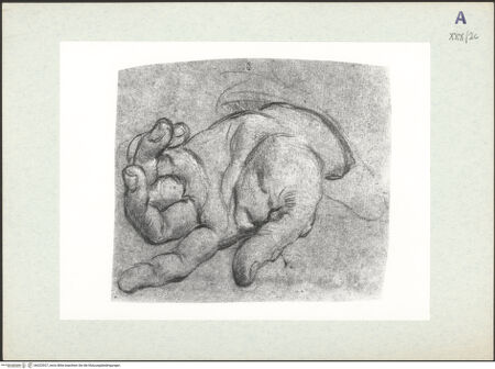 Vorderseite von bh322927_recto