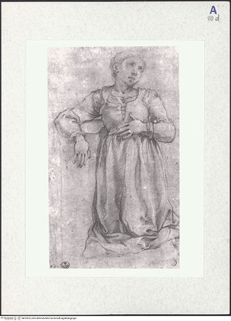 Vorderseite von bh323016_recto