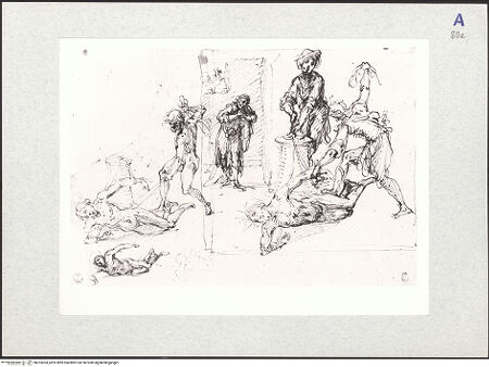 Vorderseite von bh323024_recto