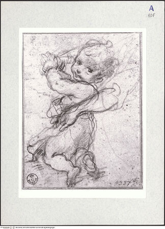 Vorderseite von bh323046_recto