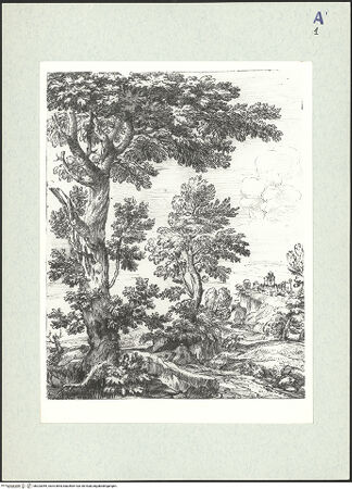 Vorderseite von bh323055_recto