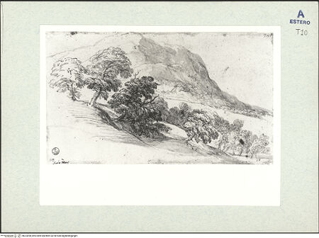 Vorderseite von bh323098_recto