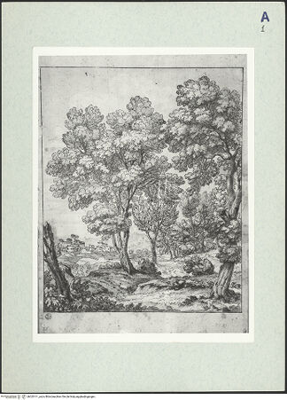 Vorderseite von bh323111_recto