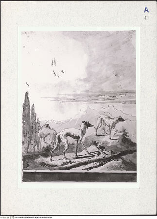 Vorderseite von bh323144_recto