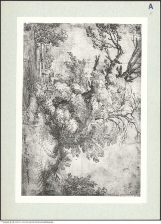 Vorderseite von bh323151_recto