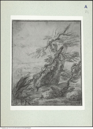 Vorderseite von bh323159_recto