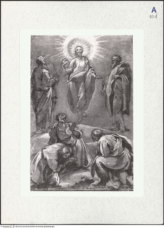 Vorderseite von bh323165_recto