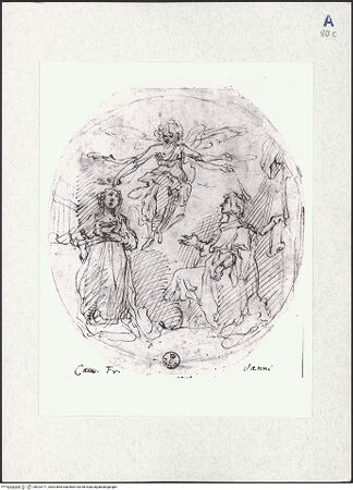 Vorderseite von bh323171_recto