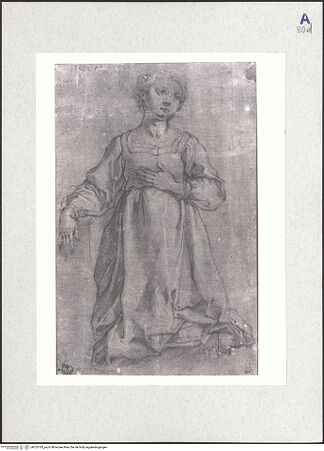 Vorderseite von bh323183_recto