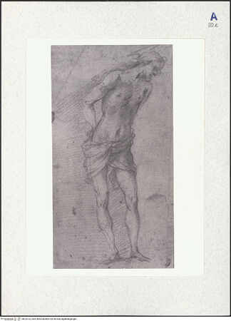 Vorderseite von bh323192_recto