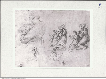 Vorderseite von bh323205_recto