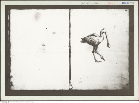 Vorderseite von bh323363_recto