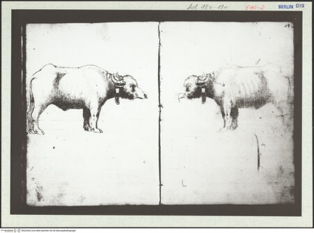 Vorderseite von bh323364_recto