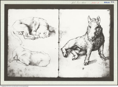 Vorderseite von bh323373_recto