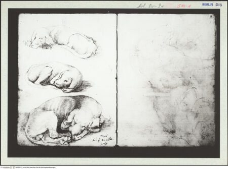 Vorderseite von bh323374_recto