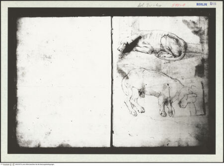 Vorderseite von bh323379_recto