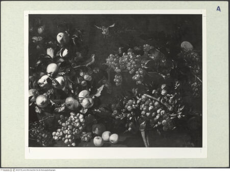 Vorderseite von bh323725_recto