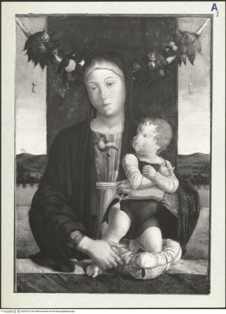 Vorderseite von bh323792_recto