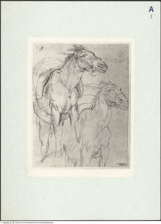 Vorderseite von bh323913_recto