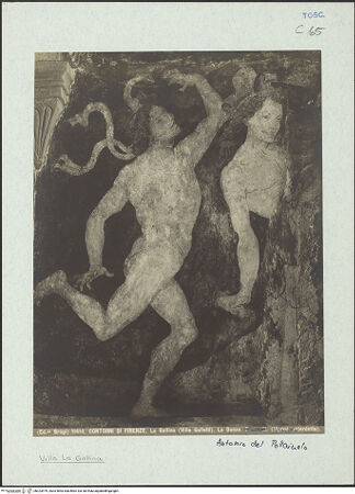 Vorderseite von bh323979_recto