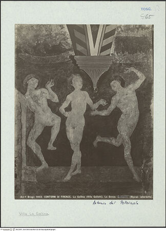 Vorderseite von bh323981_recto