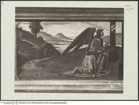 Vorderseite von bh324025_recto