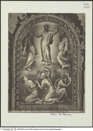 Vorderseite von bh324029_recto