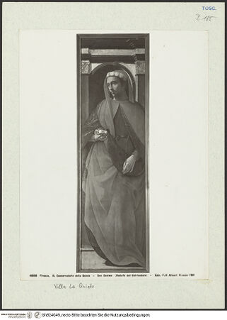 Vorderseite von bh324049_recto