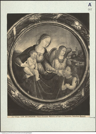 Vorderseite von bh324055_recto