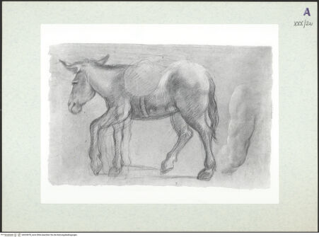 Vorderseite von bh324078_recto