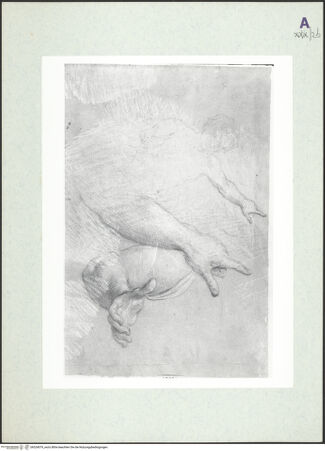 Vorderseite von bh324079_recto