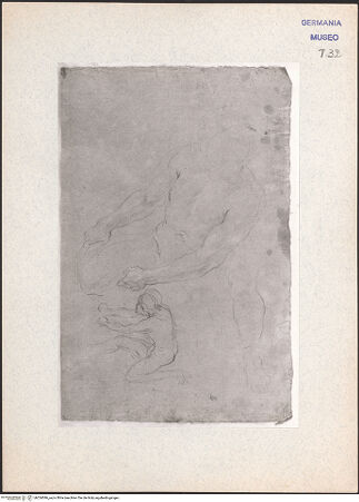 Vorderseite von bh324096_recto