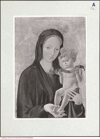 Vorderseite von bh324178_recto