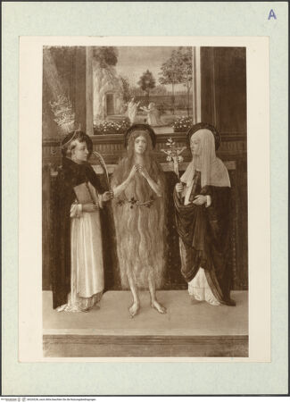 Vorderseite von bh324236_recto