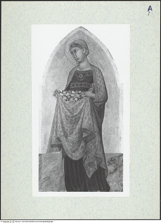 Vorderseite von bh324271_recto