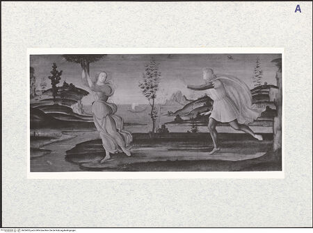 Vorderseite von bh324355_recto