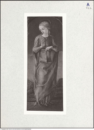 Vorderseite von bh324419_recto