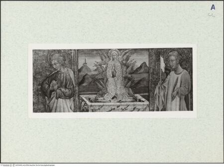 Vorderseite von bh324466_recto