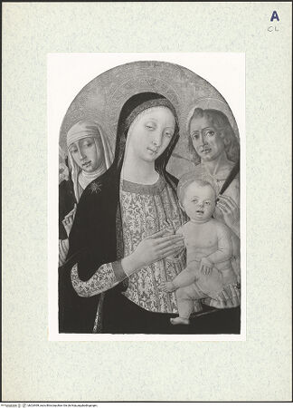 Vorderseite von bh324499_recto