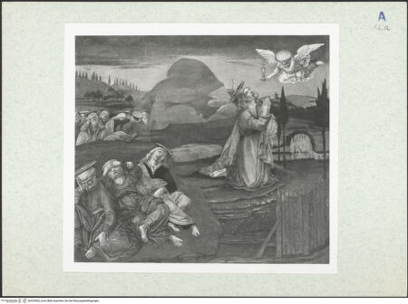 Vorderseite von bh324502_recto