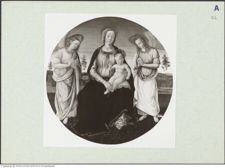 Vorderseite von bh324526_recto