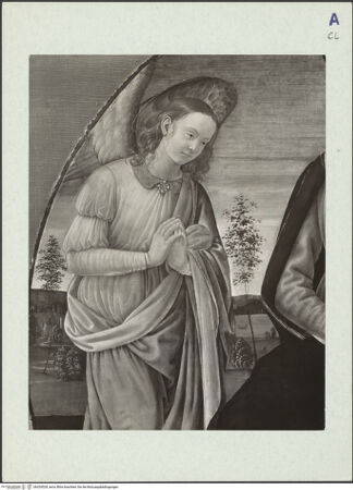 Vorderseite von bh324528_recto